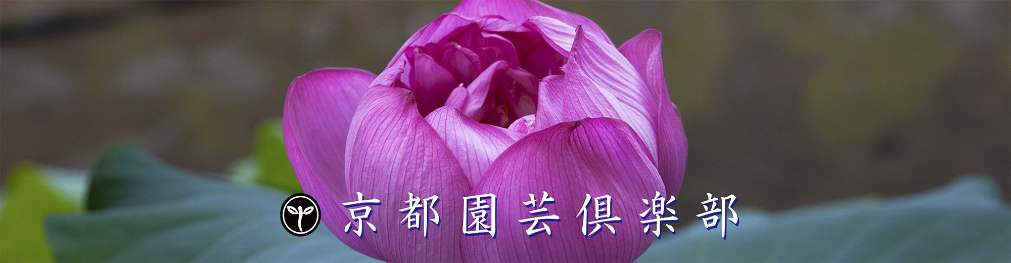 京都園芸倶楽部 京都園芸倶楽部