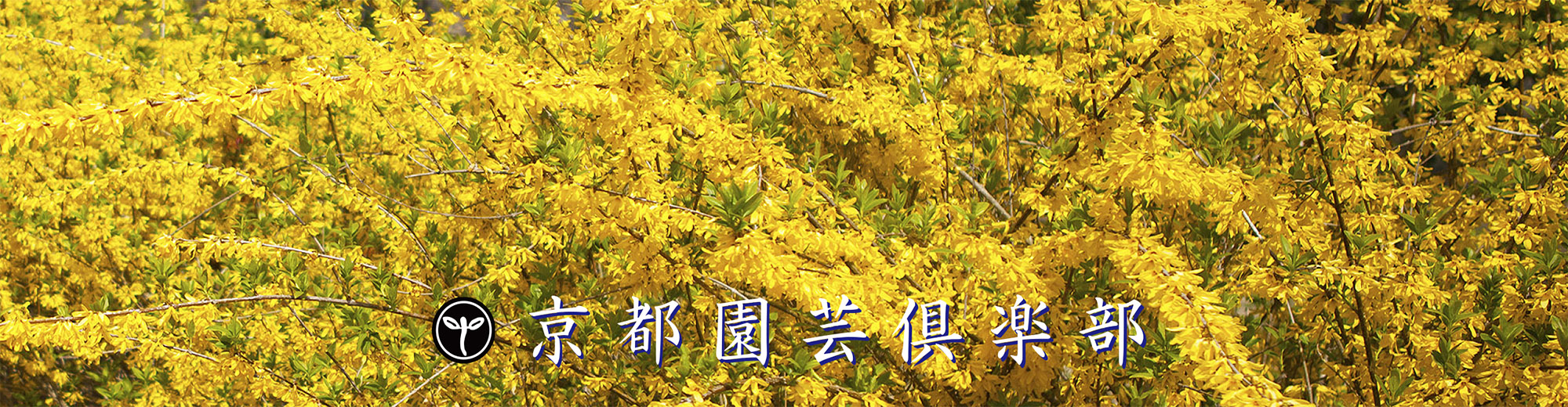 京都園芸倶楽部 京都園芸倶楽部