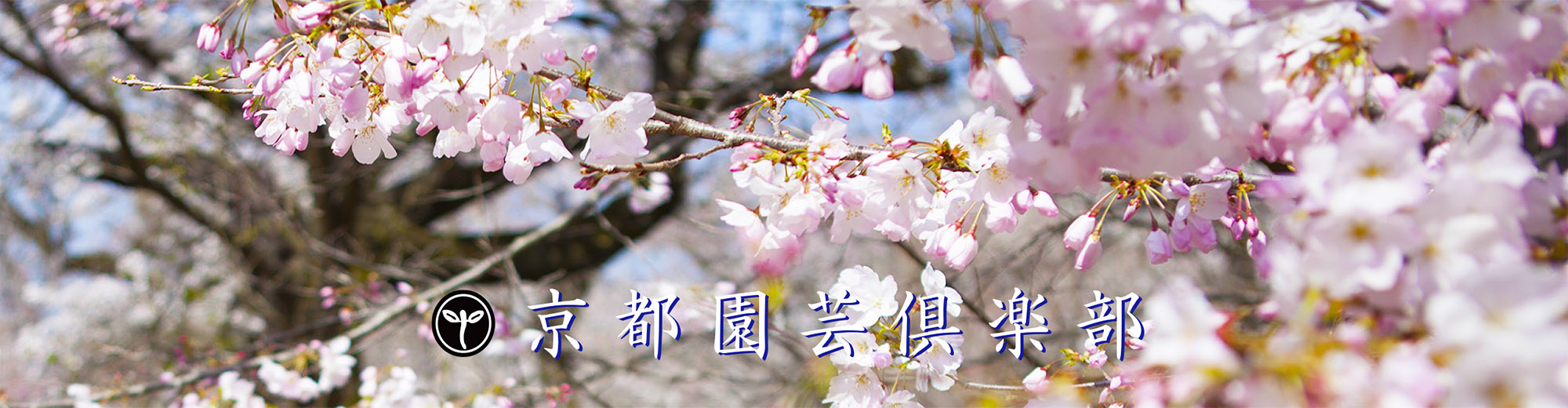 京都園芸倶楽部 京都園芸倶楽部