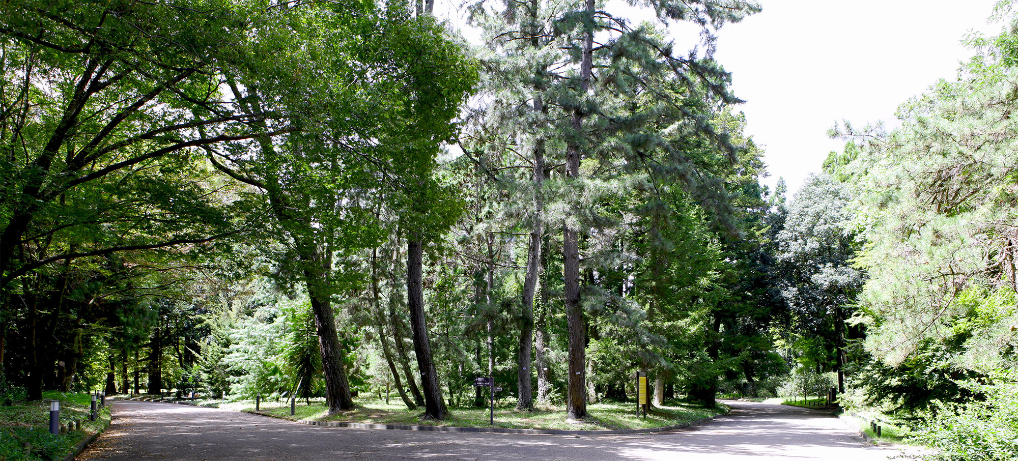 京都園芸倶楽部 京都園芸倶楽部