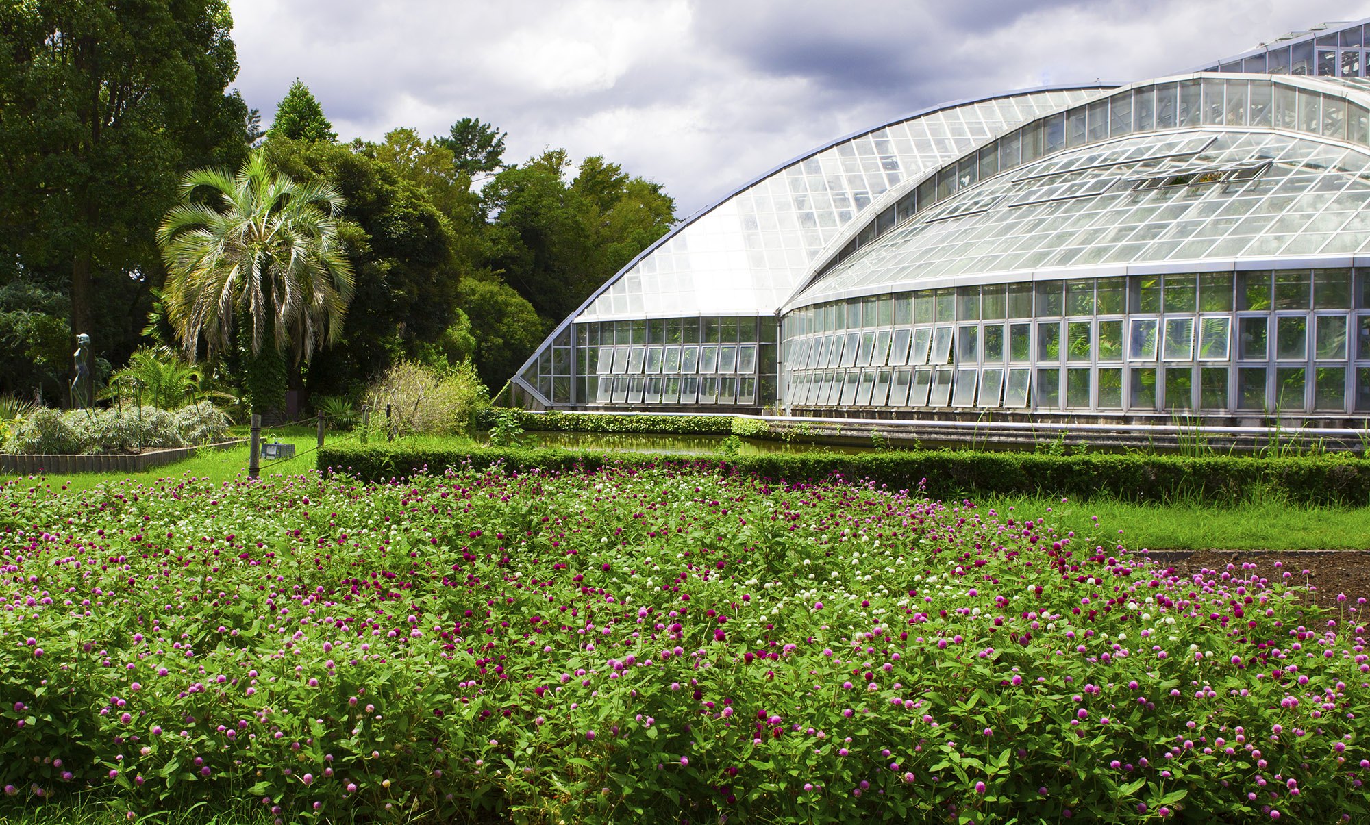京都園芸倶楽部 京都園芸倶楽部
