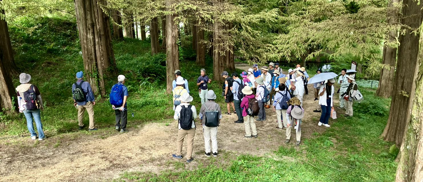 京都園芸倶楽部 京都園芸倶楽部